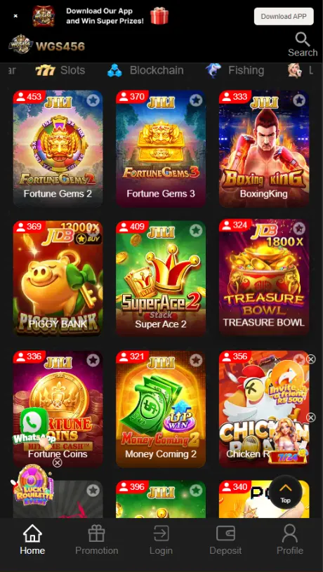 WGS456 Game Review